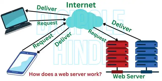 what is a Web Server in hindi